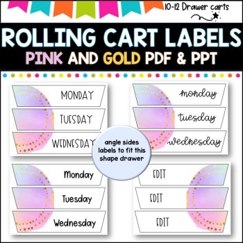 10 Drawer Rolling Cart Labels | PINK AND GOLD DESIGN I Teacher Trolley LABELS, image 4