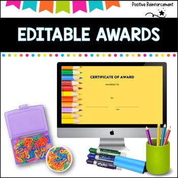 Editable Award Certificates- Suitable for All Year  30 designs to choose from, image 4
