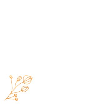 Procreate flower stamps, image 4