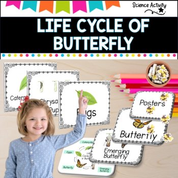 LIFE CYCLE OF BUTTERFLIES  differentiated, image 2