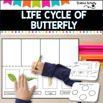 LIFE CYCLE OF BUTTERFLIES  differentiated, image 3