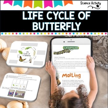 LIFE CYCLE OF BUTTERFLIES  differentiated, image 4
