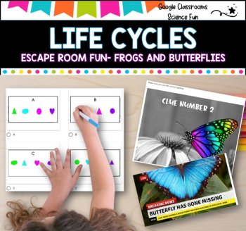 Escape Room - Life Cycles of frogs and butterflies, image 2