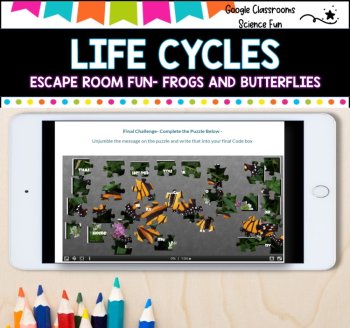 Escape Room - Life Cycles of frogs and butterflies, image 3
