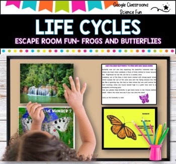 Escape Room - Life Cycles of frogs and butterflies, image 4