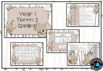 Grade 1 Term 2 Spelling- pack - no prep, image 2