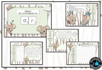 Grade 1 Term 2 Spelling- pack - no prep, image 3