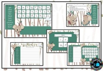 Grade 1 Term 2 Spelling- pack - no prep, image 4