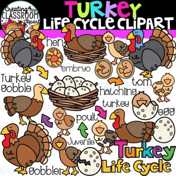 Thanksgiving Clipart Bundle {Cute Thanksgiving Clipart}, image 4