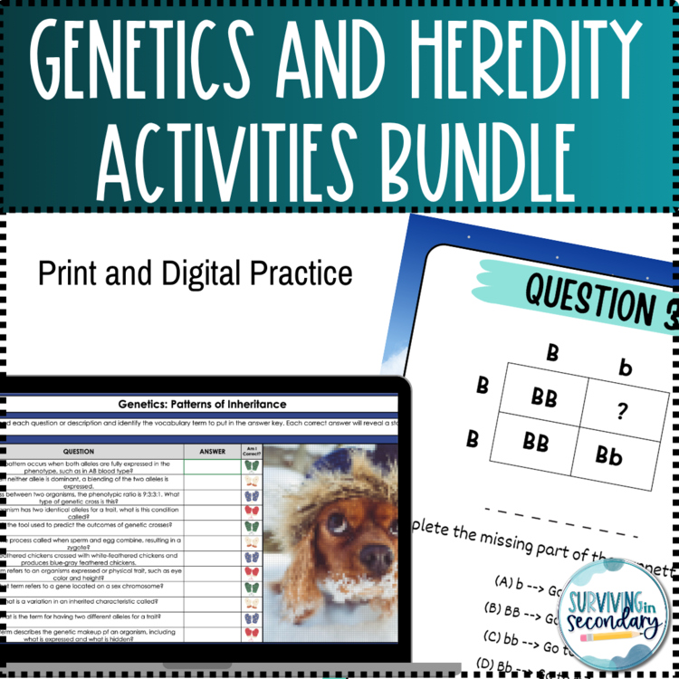 Genetics and Heredity Unit Activities Bundle