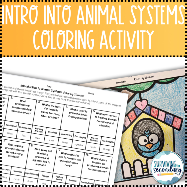 Animal System and Husbandry Birdhouse Coloring Activity