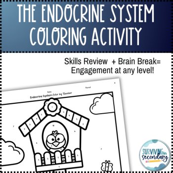 Endocrine System Birdhouse Coloring Activity, image 2