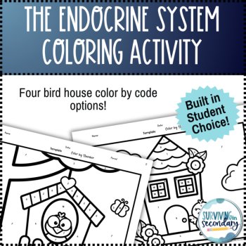 Endocrine System Birdhouse Coloring Activity, image 4