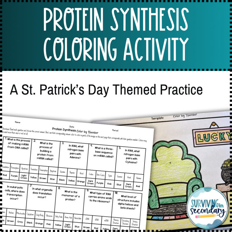 Protein Synthesis St. Patrick's Day Coloring Activity
