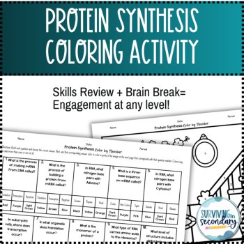 Protein Synthesis St. Patrick's Day Coloring Activity, image 2