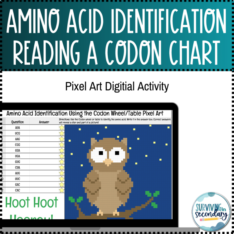 Amino Acids Identification Pixel Art | Self-Checking Digital Resource
