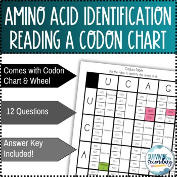 Amino Acids Identification Pixel Art | Self-Checking Digital Resource, image 2