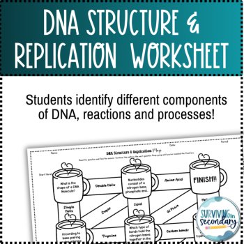 DNA Structure and Replication Maze Worksheets, image 2
