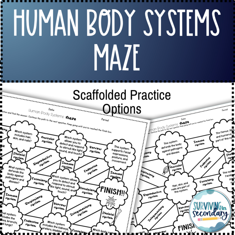 Human Body Systems Maze Worksheet