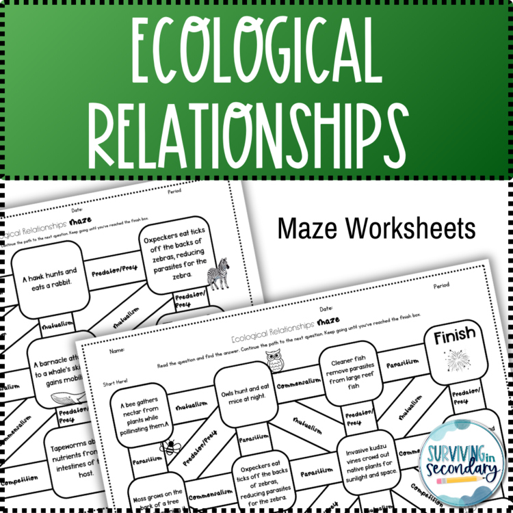 Ecological Relationships Maze Worksheet