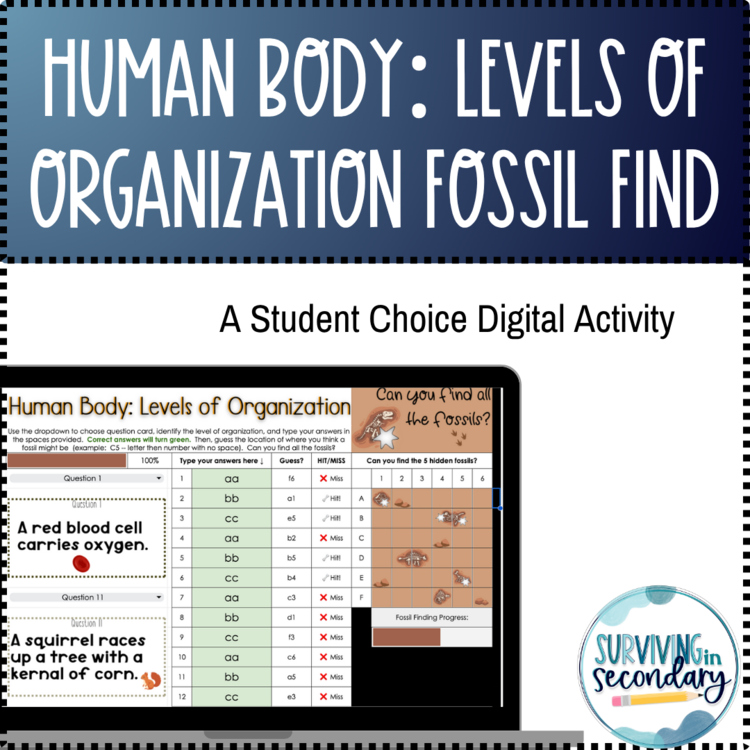 Human Body Levels Organization Fossil Find Digital Activity