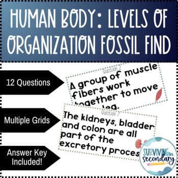 Human Body Levels Organization Fossil Find Digital Activity, image 2