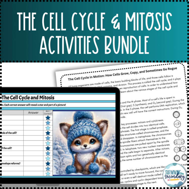 The Cell Cycle and Mitosis Activity Bundle