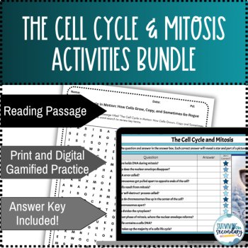 The Cell Cycle and Mitosis Activity Bundle, image 2