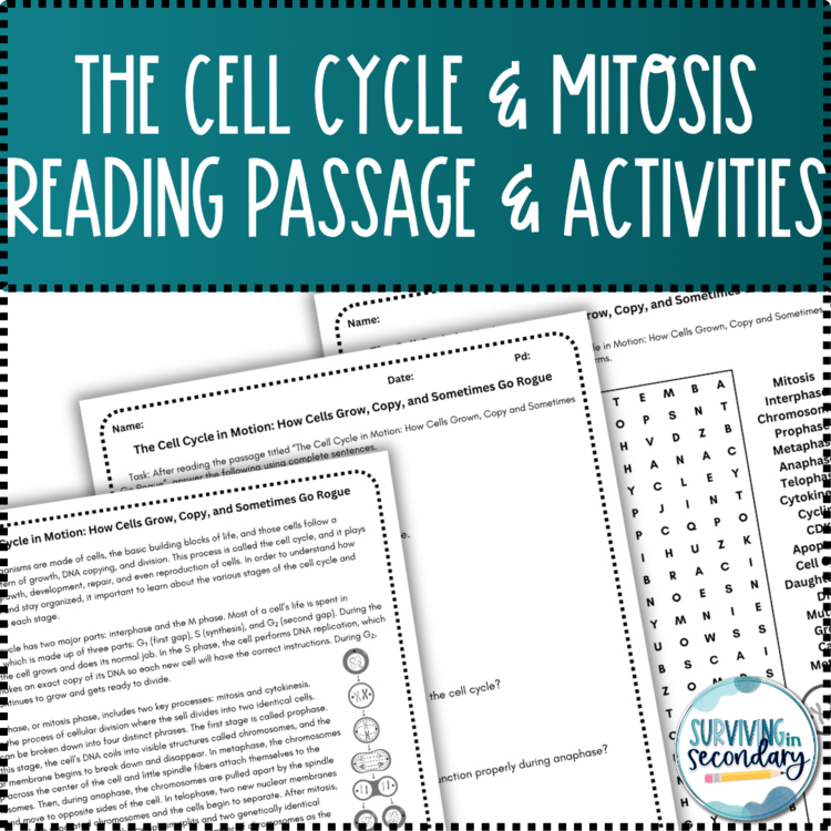 The Cell Cycle and Mitosis Reading Passage and Scaffolded Activities