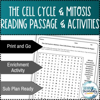 The Cell Cycle and Mitosis Reading Passage and Scaffolded Activities, image 2