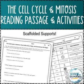 The Cell Cycle and Mitosis Reading Passage and Scaffolded Activities, image 3