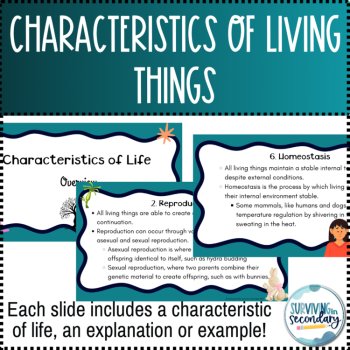 Characteristics of Life – Lesson Presentation, Graphic Organizer & Practice, image 3