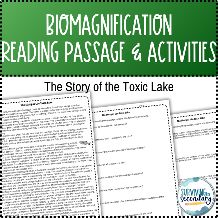 Biomagnification Reading Passage and Comprehension Questions with Scaffolding