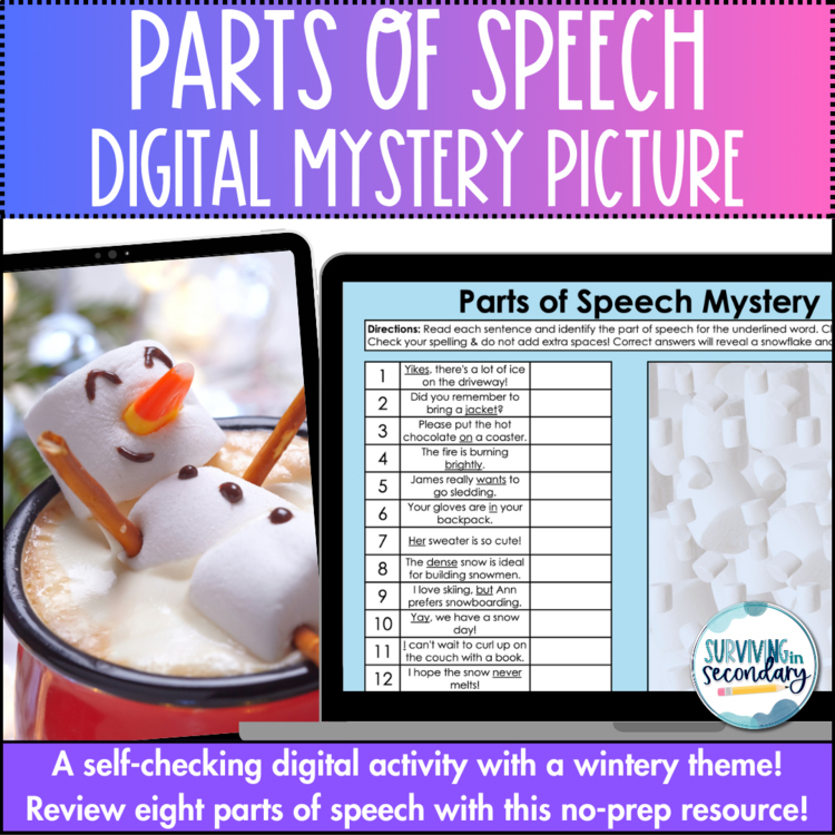 Parts of Speech Winter Mystery Picture - Self-Checking Digital Activity for ELA