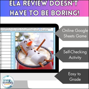 Parts of Speech Winter Mystery Picture - Self-Checking Digital Activity for ELA, image 3