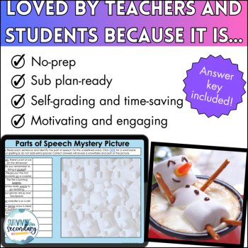 Parts of Speech Winter Mystery Picture - Self-Checking Digital Activity for ELA, image 4