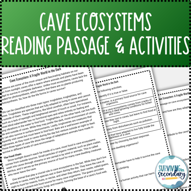 Cave Ecosystems Reading Passage and Question Activities