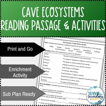 Cave Ecosystems Reading Passage and Question Activities, image 2