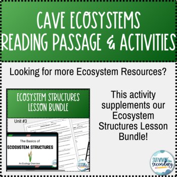 Cave Ecosystems Reading Passage and Question Activities, image 3