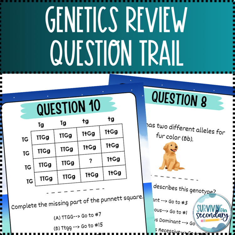 Genetics Review Beach-Themed Question Trail Scavenger Hunt!