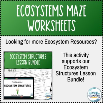 Ecosystems Maze Worksheet, image 3