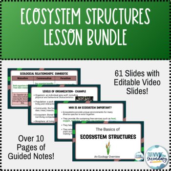 Ecosystem Structures Unit Lesson PPT, Guided Notes and Activities Bundle, image 2
