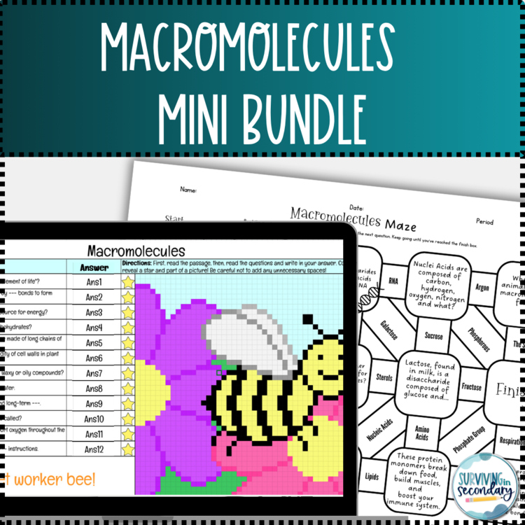 Macromolecules Activity Bundle for Middle and High School Science