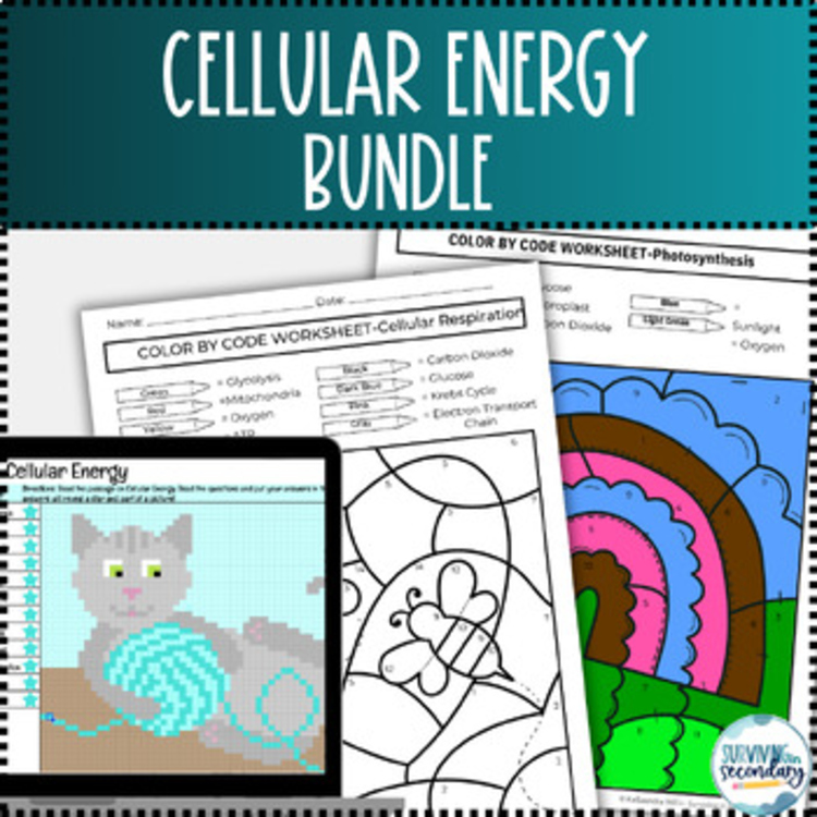 Cellular Energy Bundle