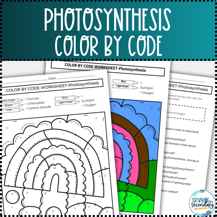 Photosynthesis Color by Code Biology Worksheet