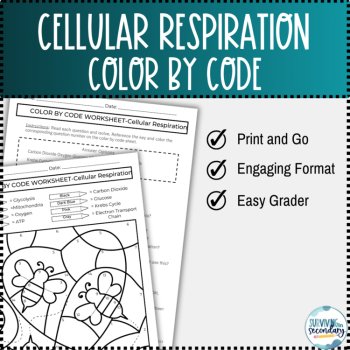 Cellular Respiration Color by Code Worksheet Practice for Biology, image 2