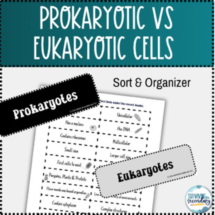 Prokaryote vs. Eukaryote Sort and Organizer Activity