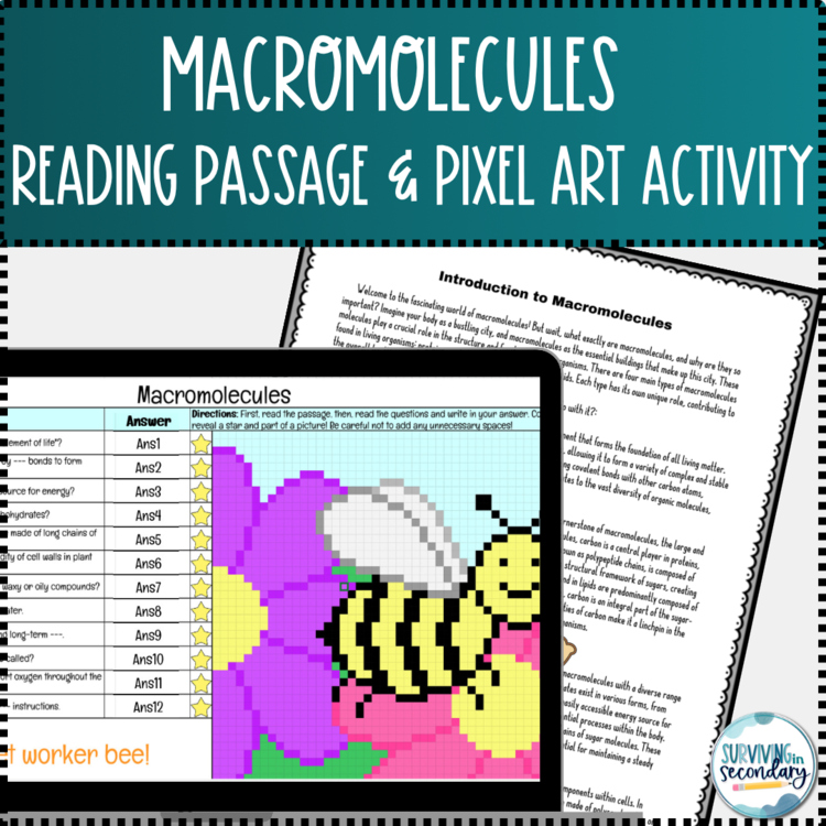 Macromolecules Reading Passage and Pixel Art Activity