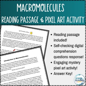 Macromolecules Reading Passage and Pixel Art Activity, image 2
