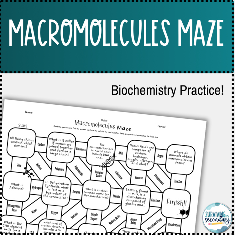 Macromolecules Maze